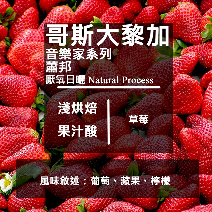 LikeCoffee 八豆坊｜哥斯大黎加 卡內特莊園 音樂家系列 貝多芬 莫札特 蕭邦 巴哈 手沖咖啡 精品咖啡