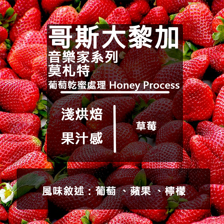 LikeCoffee 八豆坊｜哥斯大黎加 卡內特莊園 音樂家系列 貝多芬 莫札特 蕭邦 巴哈 手沖咖啡 精品咖啡