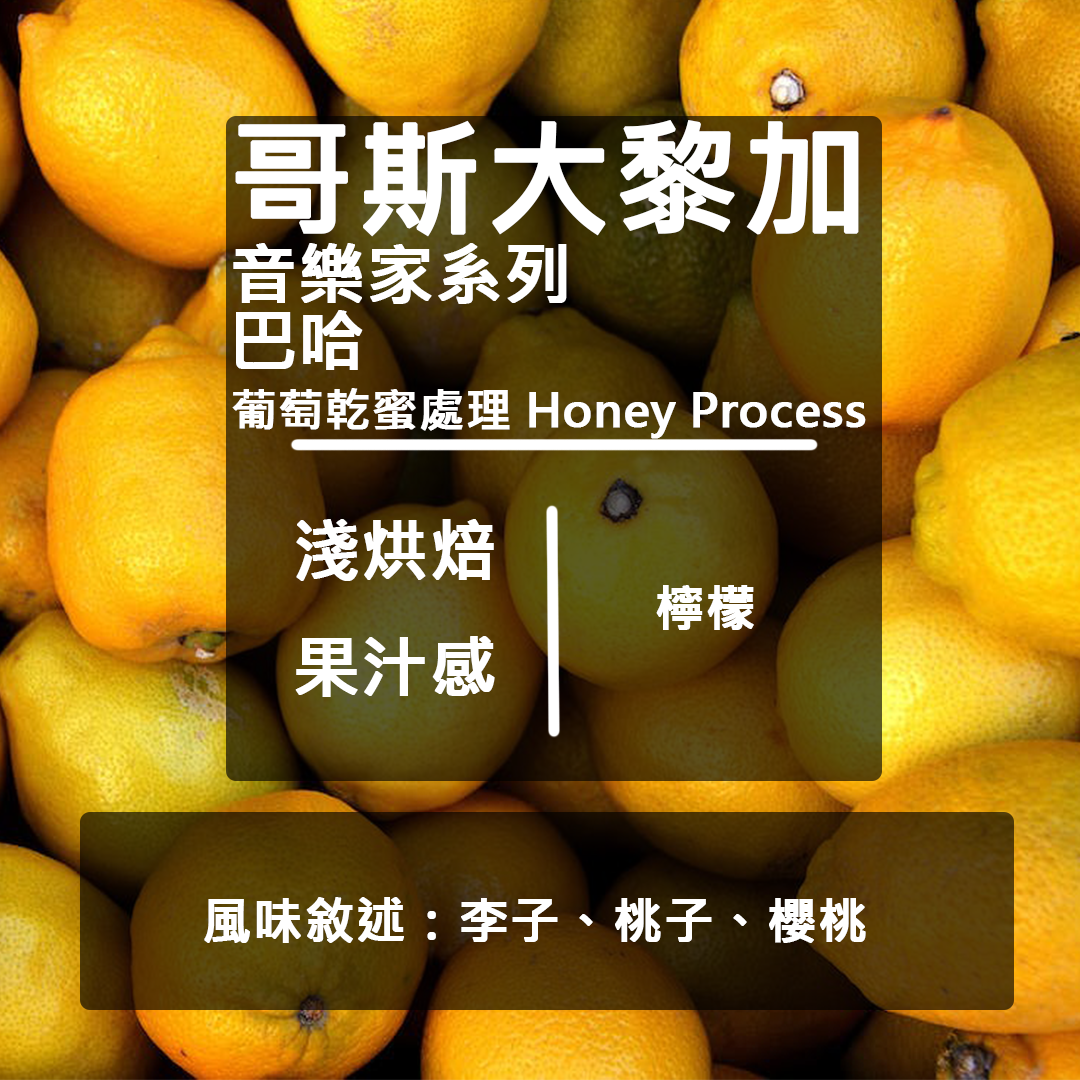 LikeCoffee 八豆坊｜哥斯大黎加 卡內特莊園 音樂家系列 貝多芬 莫札特 蕭邦 巴哈 手沖咖啡 精品咖啡