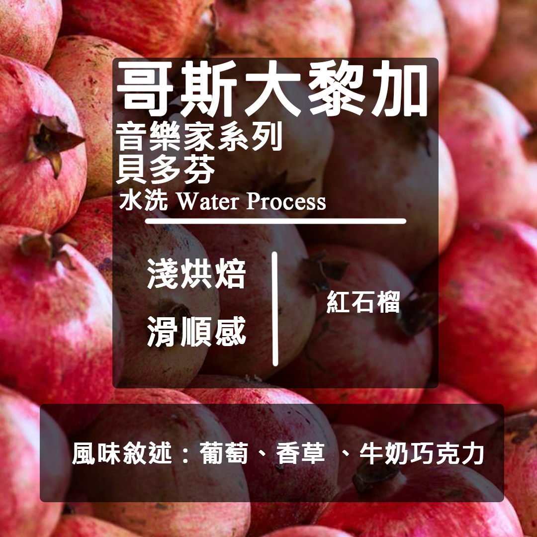 LikeCoffee 八豆坊｜哥斯大黎加 卡內特莊園 音樂家系列 貝多芬 莫札特 蕭邦 巴哈 手沖咖啡 精品咖啡