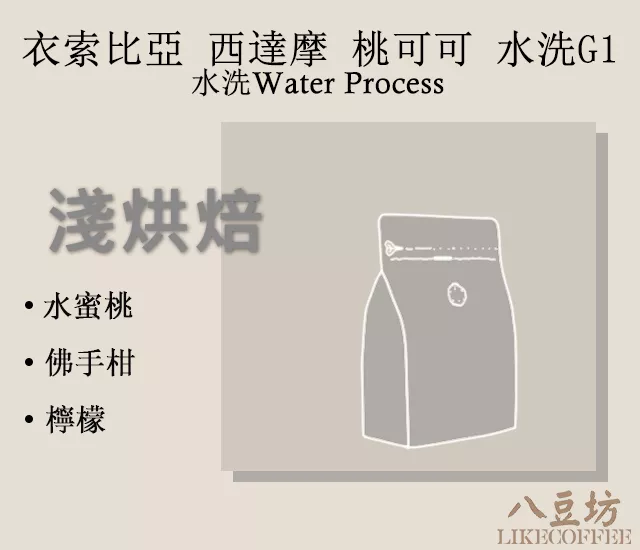 衣索比亞 西達摩 桃可可 水洗G1