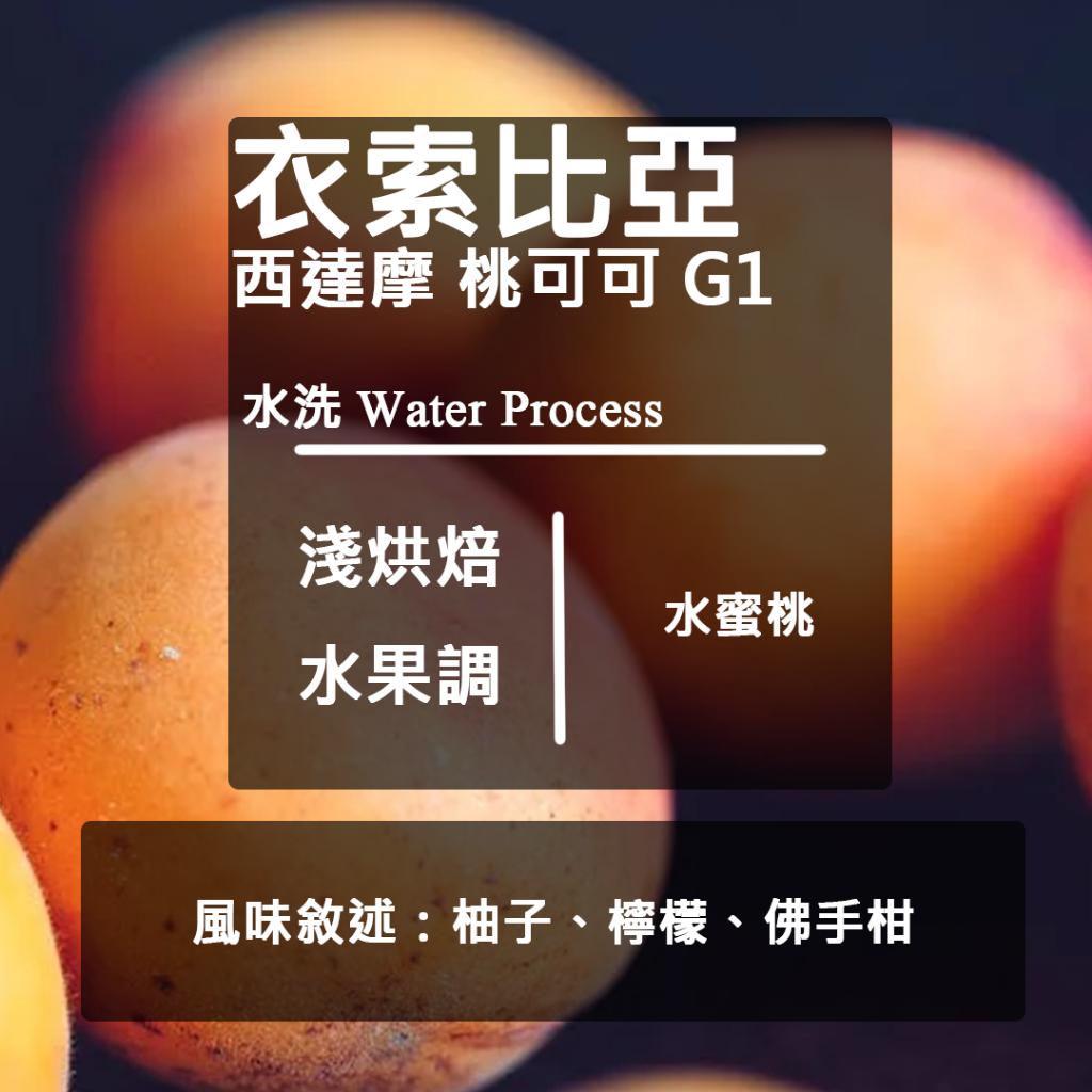 衣索比亞 西達摩 桃可可 水洗G1