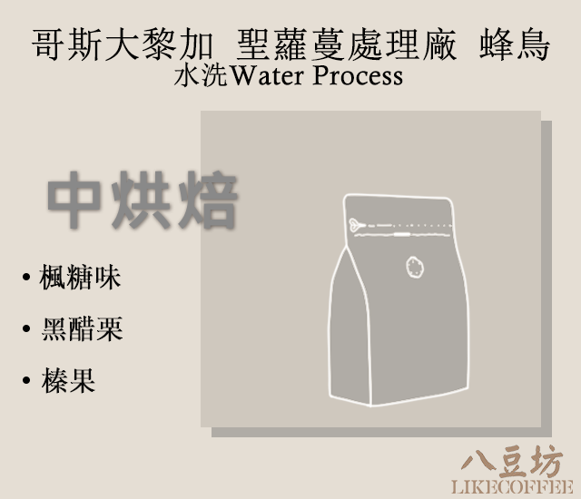 哥斯大黎加 聖蘿蔓處理廠 蜂鳥 水洗 咖啡豆