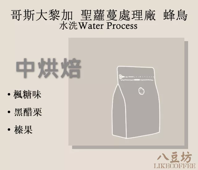 哥斯大黎加 聖蘿蔓處理廠 蜂鳥 水洗 咖啡豆