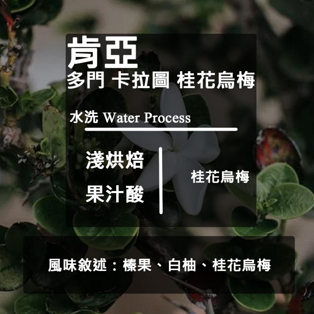 肯亞 多門 卡拉圖處理廠 桂花烏梅批次 AA