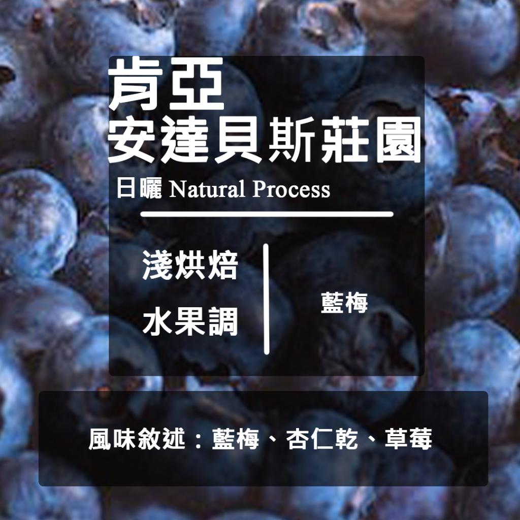 肯亞 安達貝斯莊園 日曬微量批次