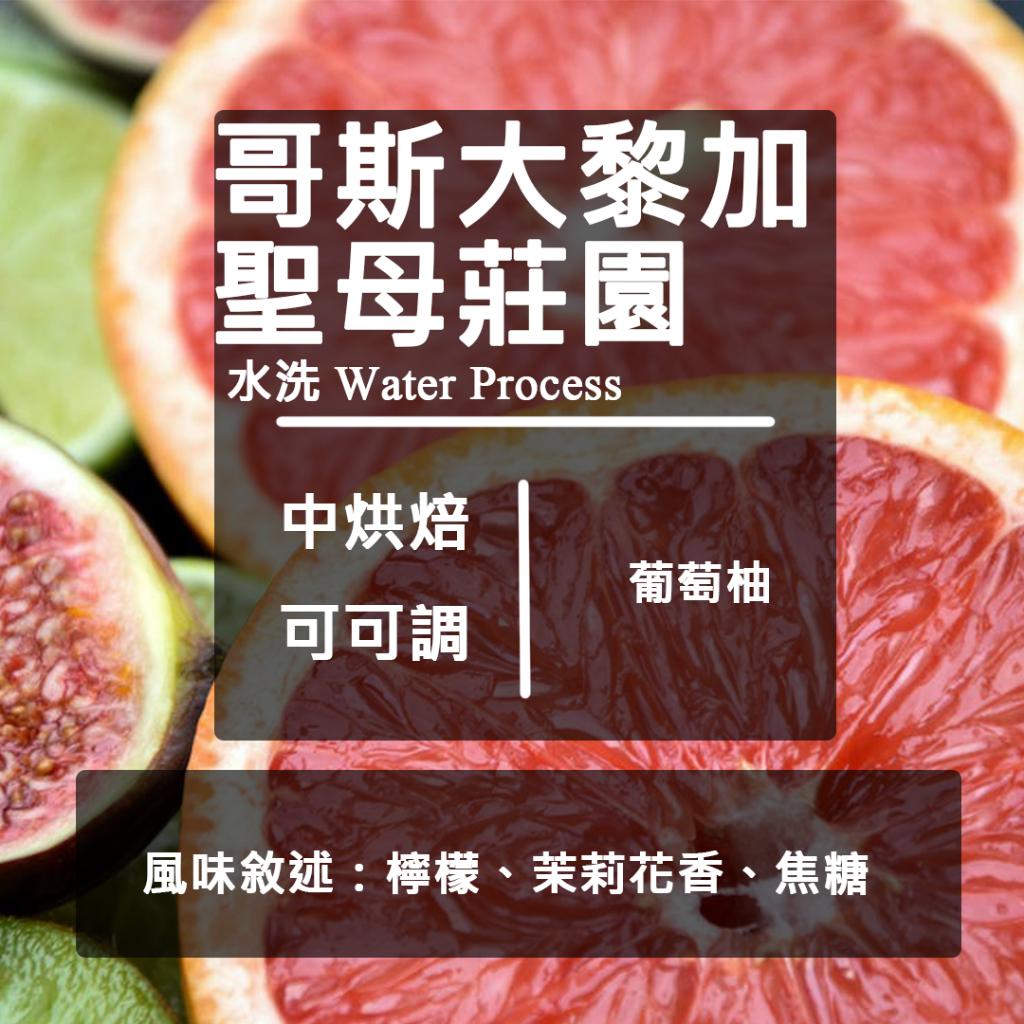 哥斯大黎加 塔拉珠 聖母莊園 水洗
