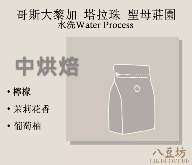 哥斯大黎加 塔拉珠 聖母莊園 水洗