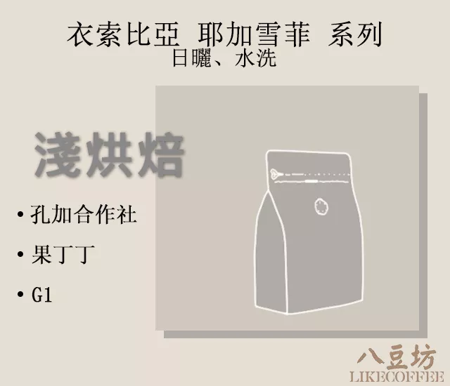 衣索比亞 耶加雪菲 G1 日曬 水洗 果丁丁 孔加合作社