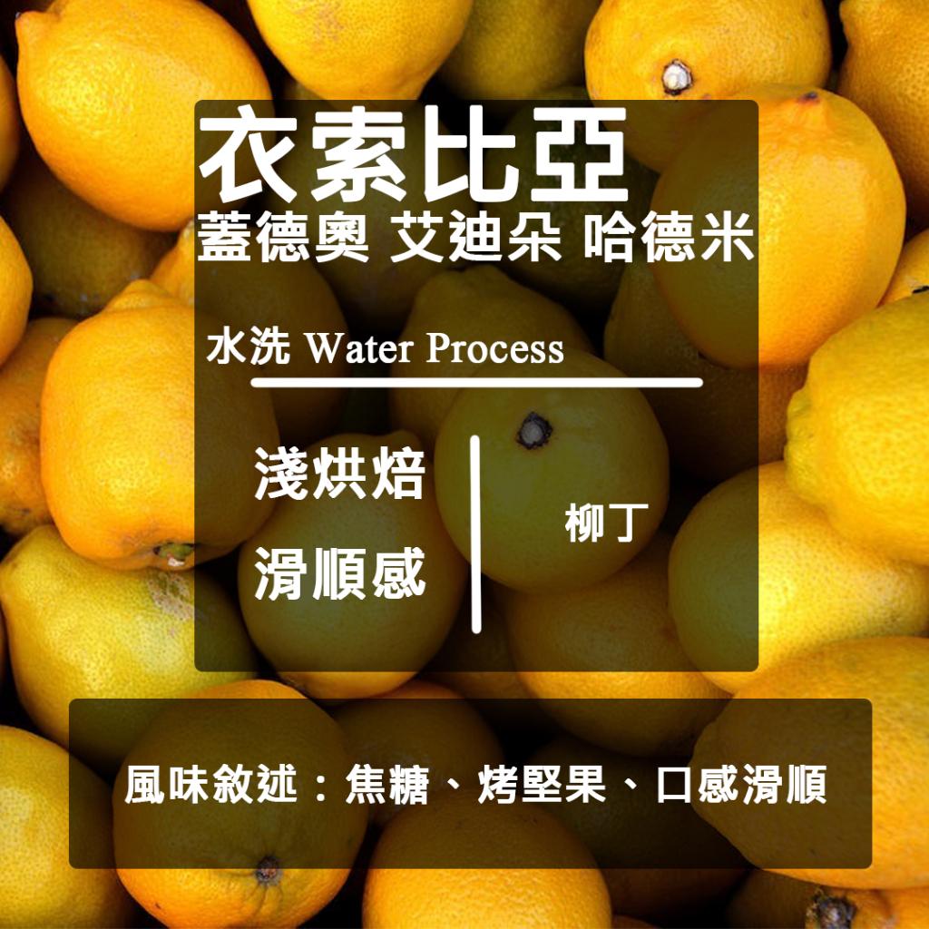 衣索比亞 耶加雪菲 獨立小農計劃  買一送一