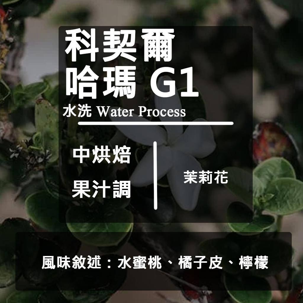 衣索比亞 耶加雪菲 獨立小農計劃  買一送一
