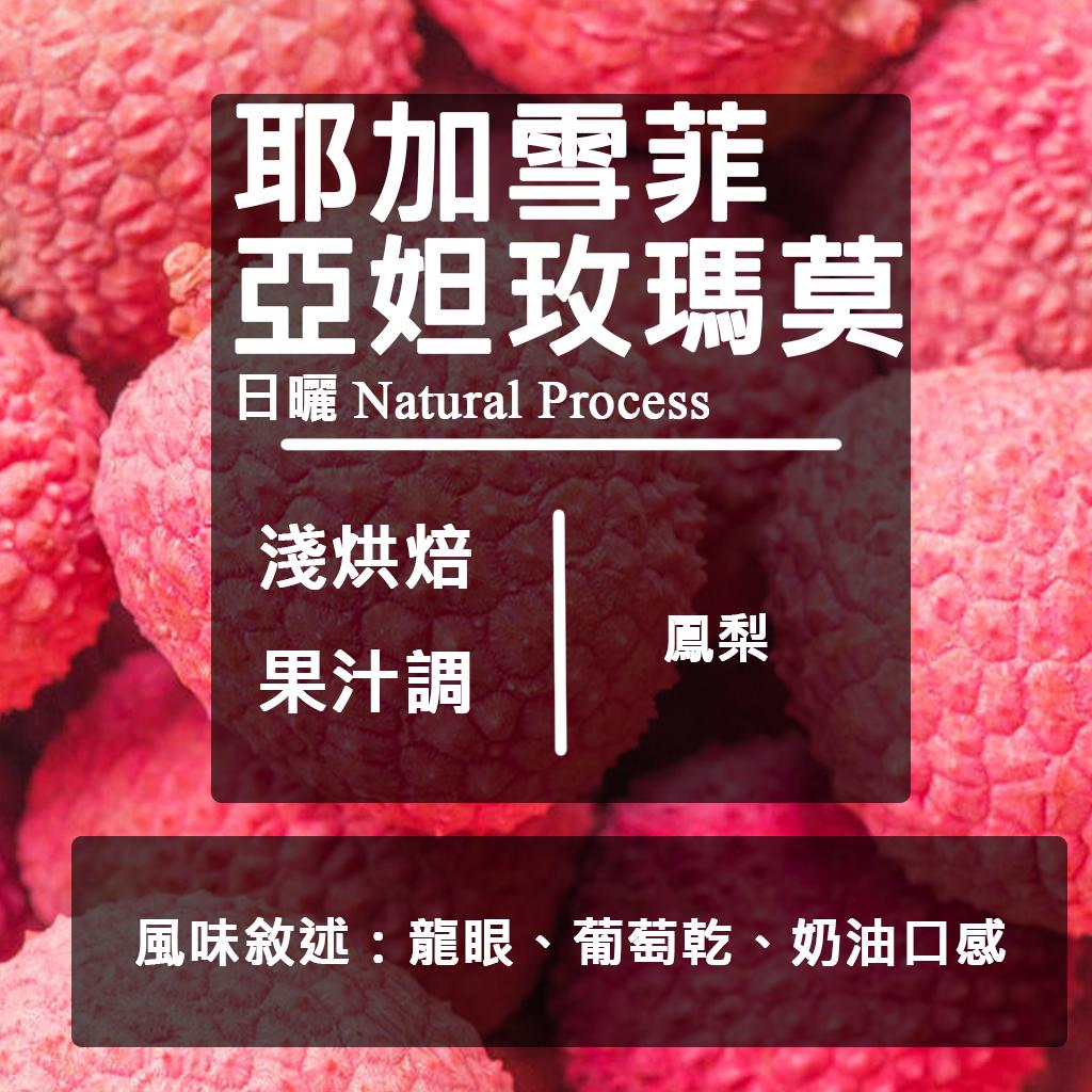 衣索比亞 耶加雪菲 獨立小農計劃  買一送一