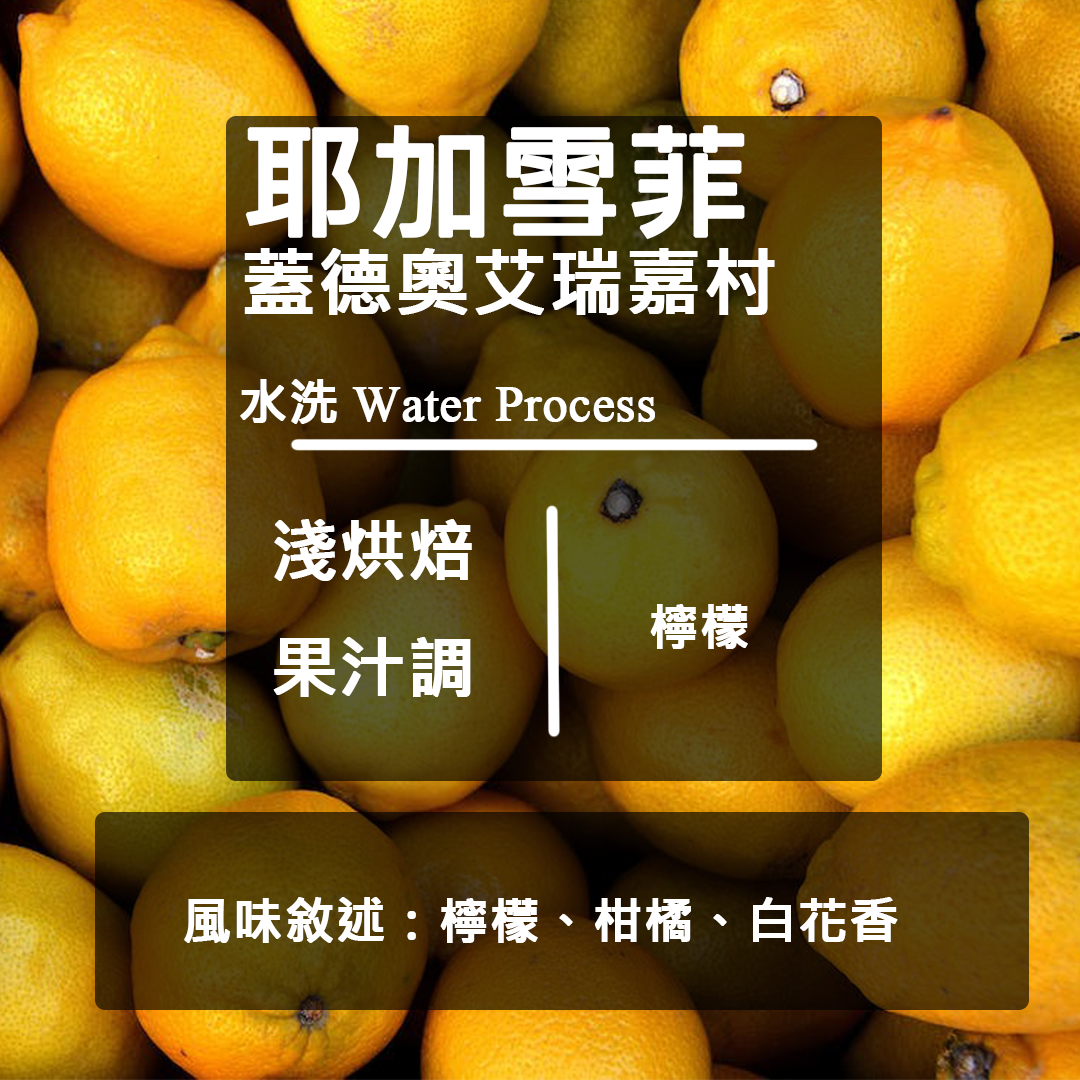 衣索比亞 耶加雪菲 蓋德奧 艾瑞嘉村 G1 水洗