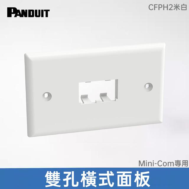 PANDUIT 雙孔面板 (下單時請備註需橫式或直式）