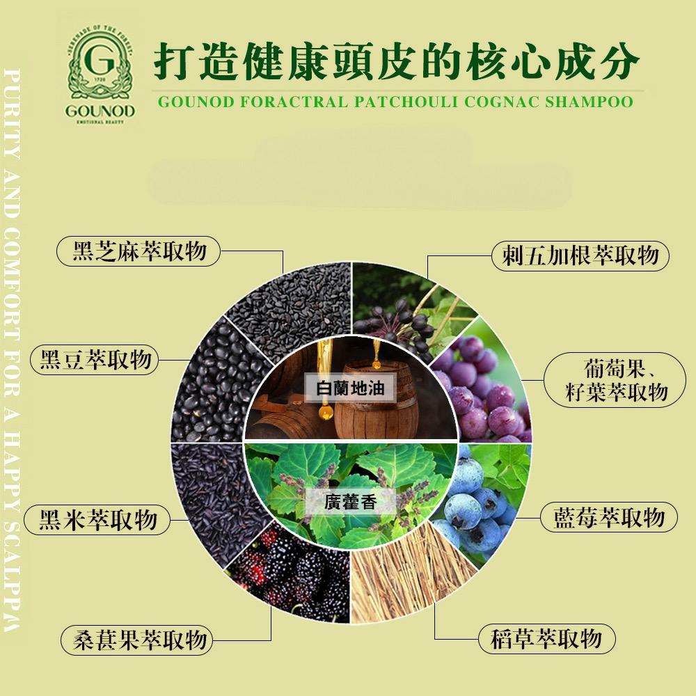 法國 古諾 GOUNOD 廣藿香干邑白蘭地洗髮精PLUS＋500ml x1入