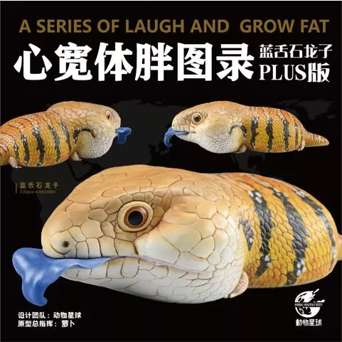 （現貨）動物星球 原廠授權代理 藍舌石龍子 PLUS