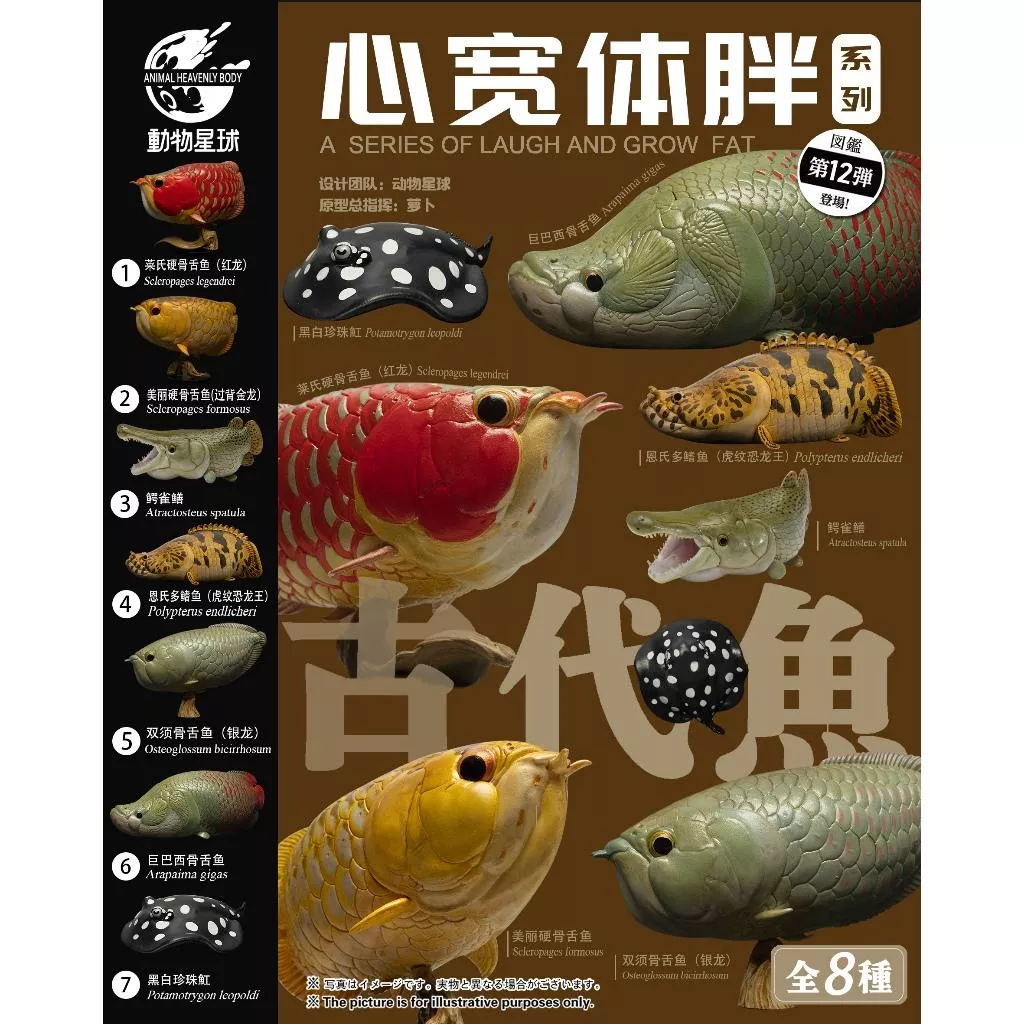 【動物星球】 授權代理商 現貨 第十二彈 第12彈 龍魚系列 古代魚 過背金龍 紅龍  模型 生日禮