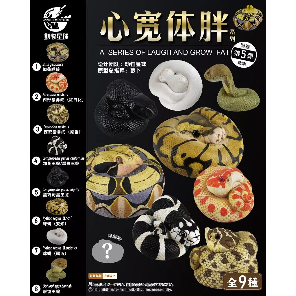 【動物星球】 授權代理商 現貨 第五彈 第5彈 蛇系列 豬鼻蛇 加州王蛇 球蟒 模型 眼鏡蛇 蟒蛇 生日禮