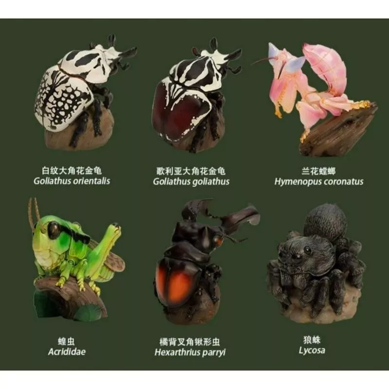 【動物星球】授權代理商 心寬體胖 第11彈 螳螂 金龜 蜘蛛 揪形蟲 現貨 非 亞達伯拉象龜 生日 交換