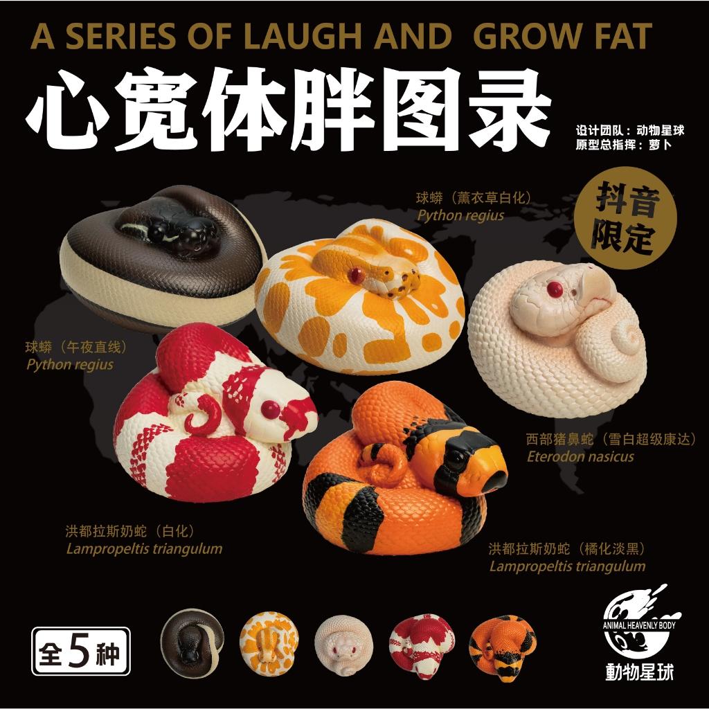 動物星球 抖音限定 蛇系列 洪都拉斯奶蛇 現貨