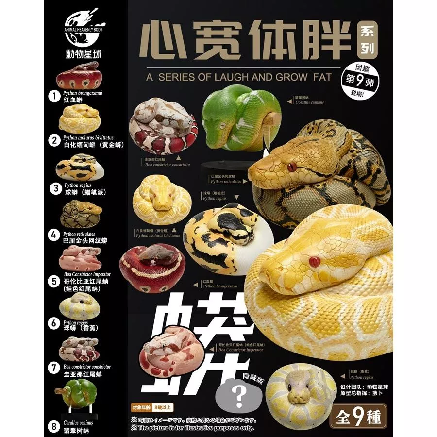 【動物星球】 授權代理商 現貨 第九彈 第9彈 蛇系列 黃金蟒 紅血蟒 球蟒 翡翠樹蚺 模型 生日禮
