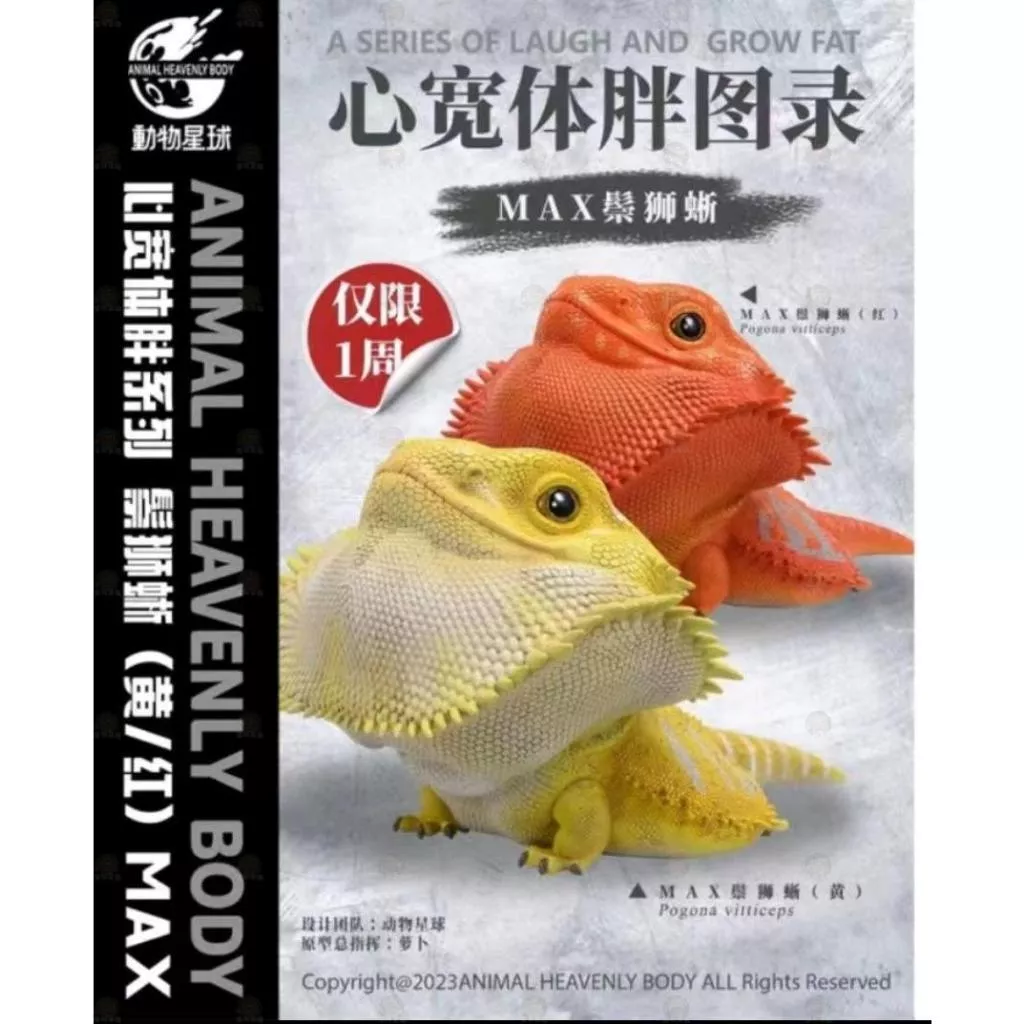 【家有家龜】【動物星球】授權代理商 鬃獅蜥 MAX版 限定版 (紅/黃) 現貨