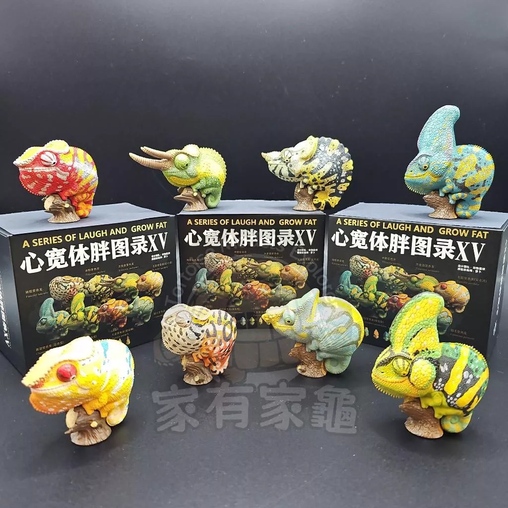 【動物星球】授權代理商 心寬體胖 第15彈 變色龍 鬣蜥 現貨 非 亞達伯拉象龜 生日 交換 禮物