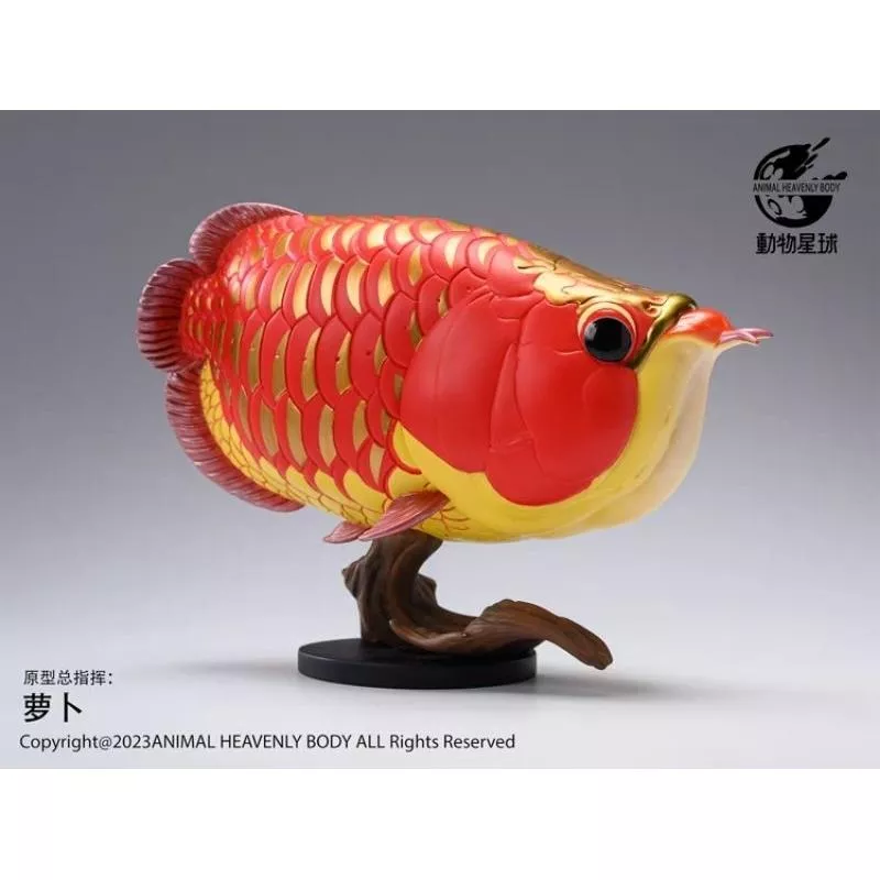 【家有家龜】【動物星球】 授權代理商 紅龍魚PLUS 抖音直播 龍魚 現貨 限量版