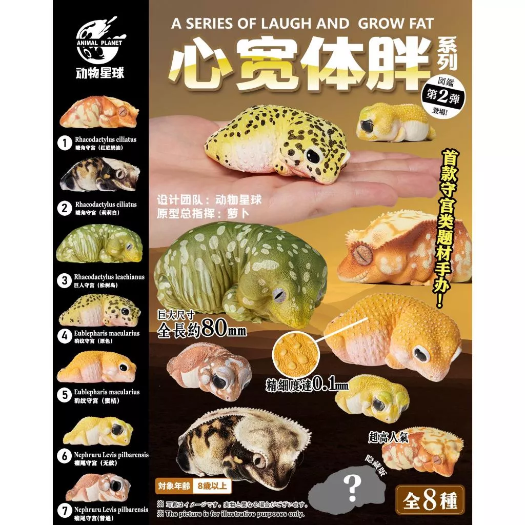 【動物星球】授權代理商 心寬體胖 第2彈 守宮 壁虎 睫角 巨人 豹紋 瘤尾 現貨 非 亞達伯拉象龜 禮物