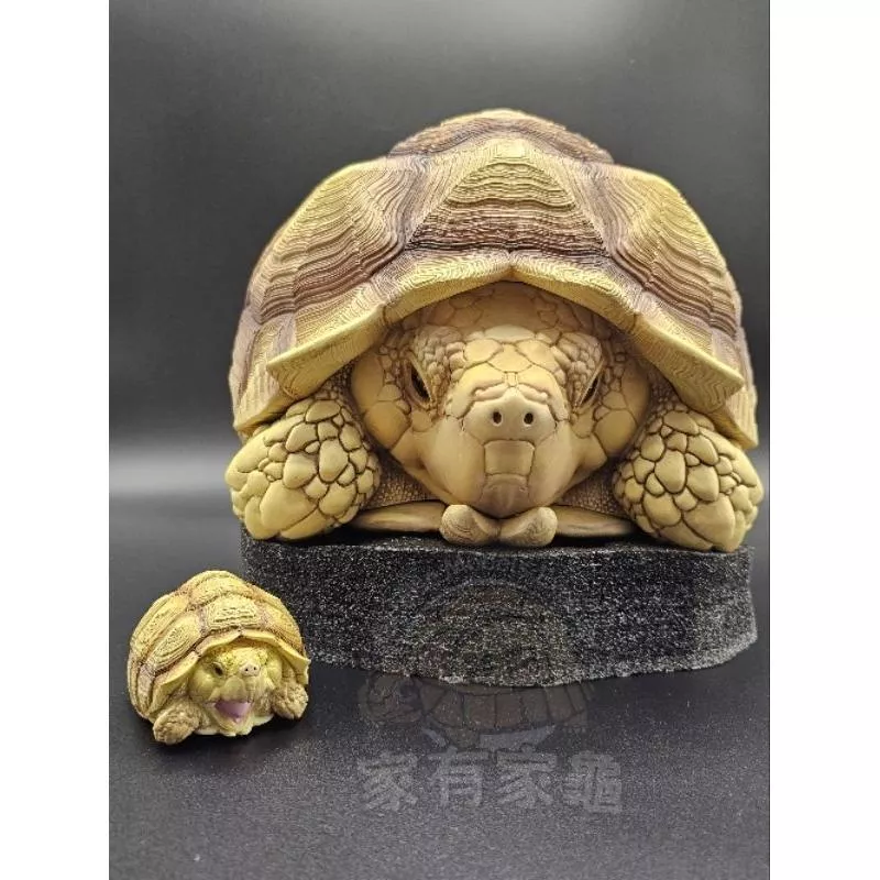 【家有家龜】【動物星球】 全球限量300隻 蘇卡達 PLUS 模型 全新 現貨 附限量編號卡 手辦 非 亞達伯拉