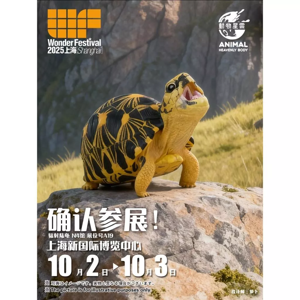 動物星雲 動物星球 2025 WF限量版 輻射陸龜 傳奇尼羅鱷(古斯塔夫)