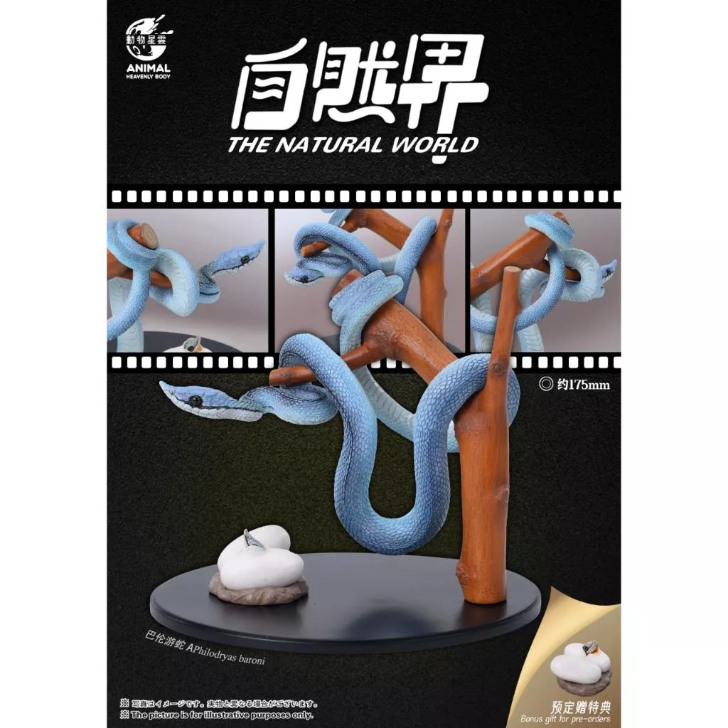 動物星雲 動物星球 寫實版 自然界系列 02 第二彈 巴倫游蛇 預購送特典