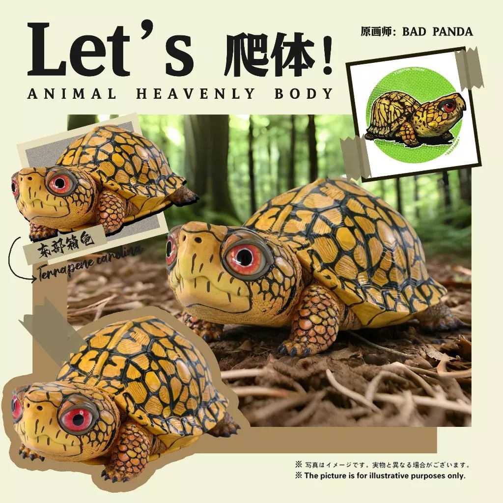 動物星雲 x BADPANDA 聯名系列 現貨 ✨ Let's 爬體系列第三彈 - 東部箱龜