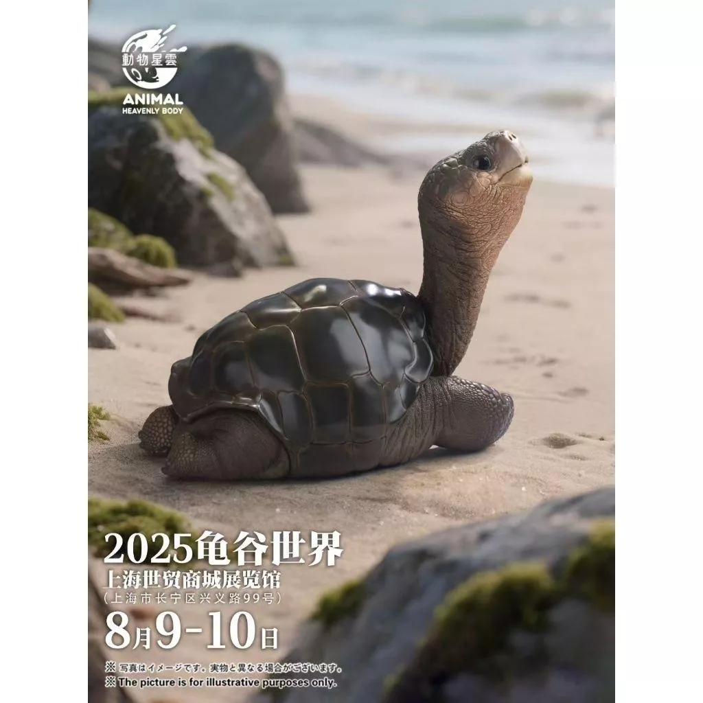 動物星雲 動物星球 2025 上海 龜谷展 限量款 平塔島象龜 孤獨喬治 現貨 限量188體
