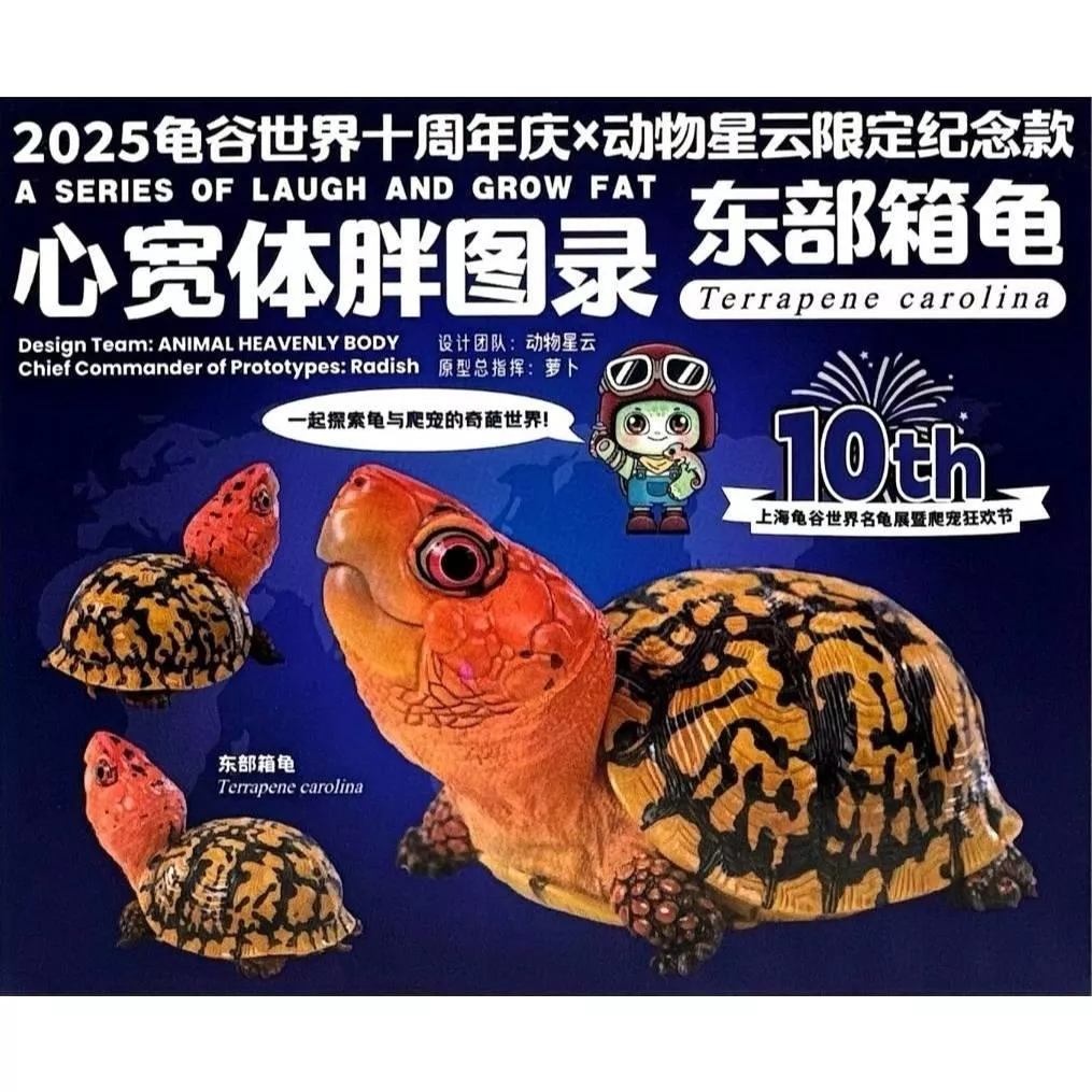 動物星雲 動物星球 2025 龜谷展 展商限定款 限量