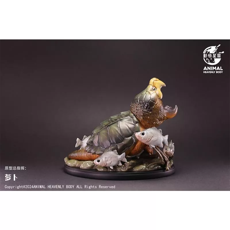 動物星球 動物星雲 場景篇2 現貨 大鱷龜