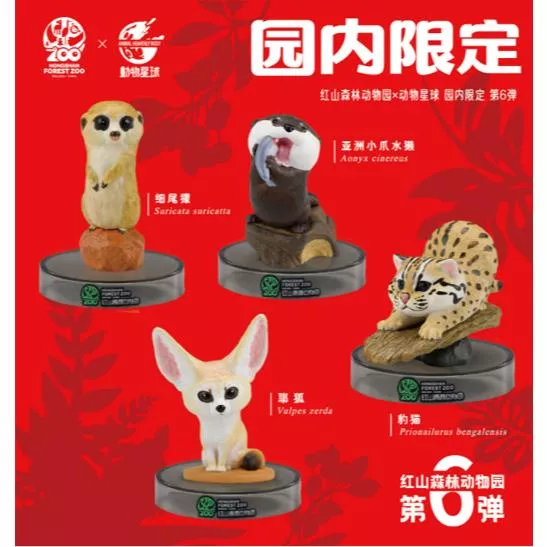 動物星球 動物星雲 現貨 授權代理商 正版 紅山森林動物園 第六彈 園內限定 第6彈 盲盒 生日禮物