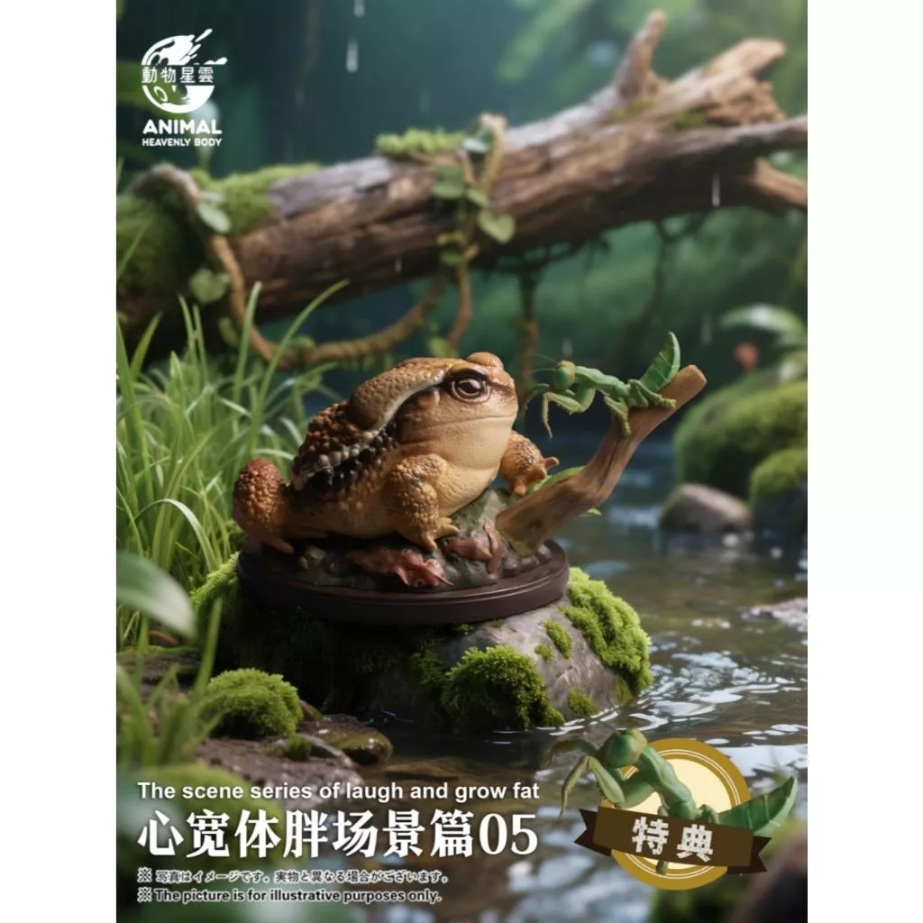 動物星雲 動物星球 心寬體胖 場景篇05 中華大蟾蜍模型 預購送特典