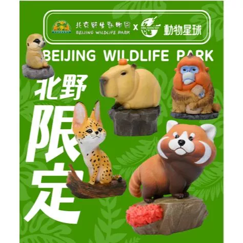 動物星球 動物星雲 現貨 授權代理商 正版 北京野生動物園第一彈 限定 第1彈 盲盒 生日禮物