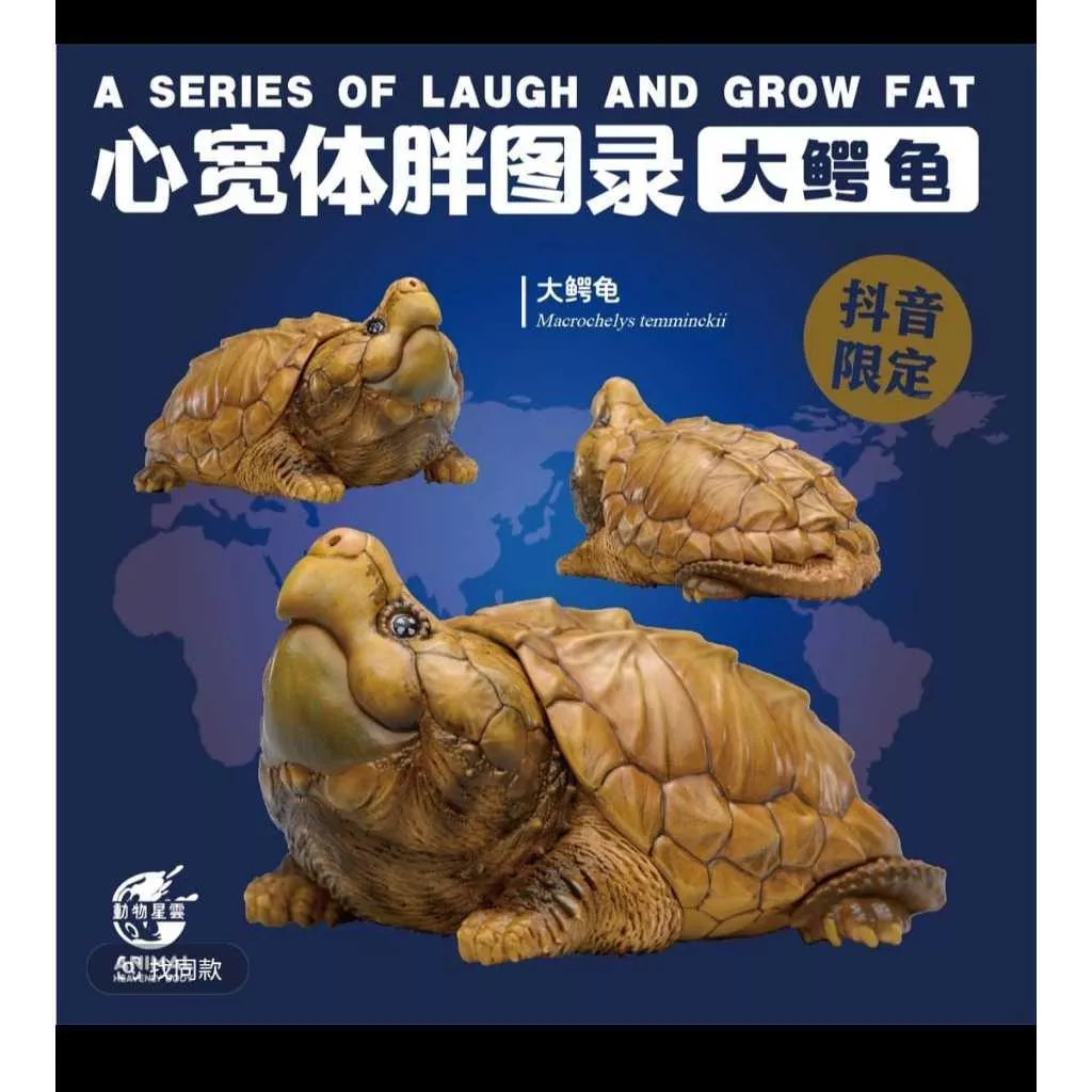 動物星雲 動物星球 心寬體胖 抖音限定大鱷 正版公司貨