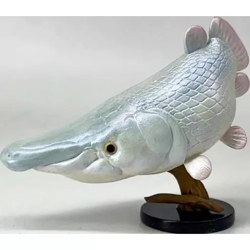 動物星球 動物星雲 21彈 隱藏版 白化鱷雀鱔 模型