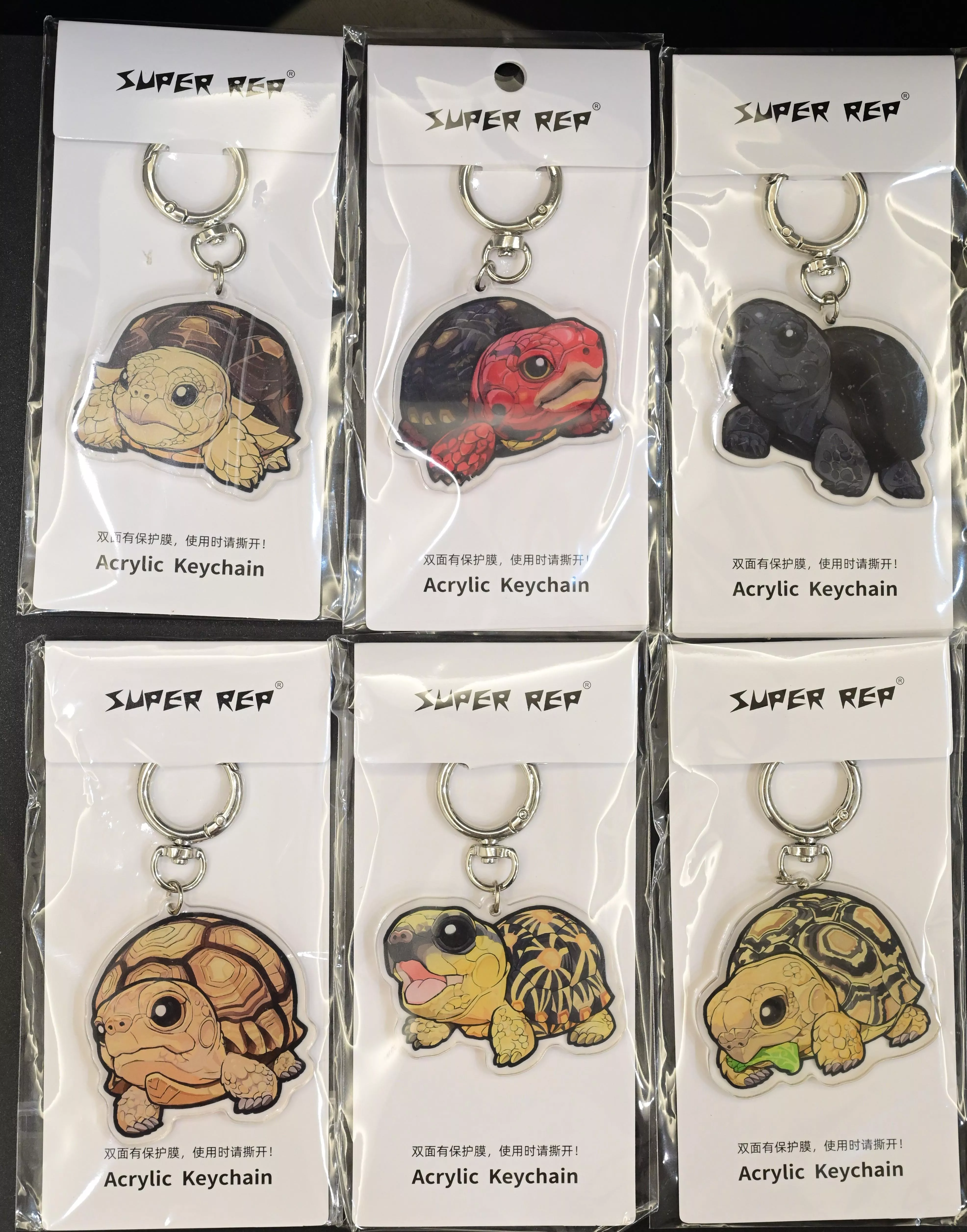 心寬體胖 陸龜 鑰匙圈 蘇卡達 紅腿象龜 輻射陸龜 亞達伯拉象龜 安哥洛卡象龜 豹紋陸龜 鑰匙扣