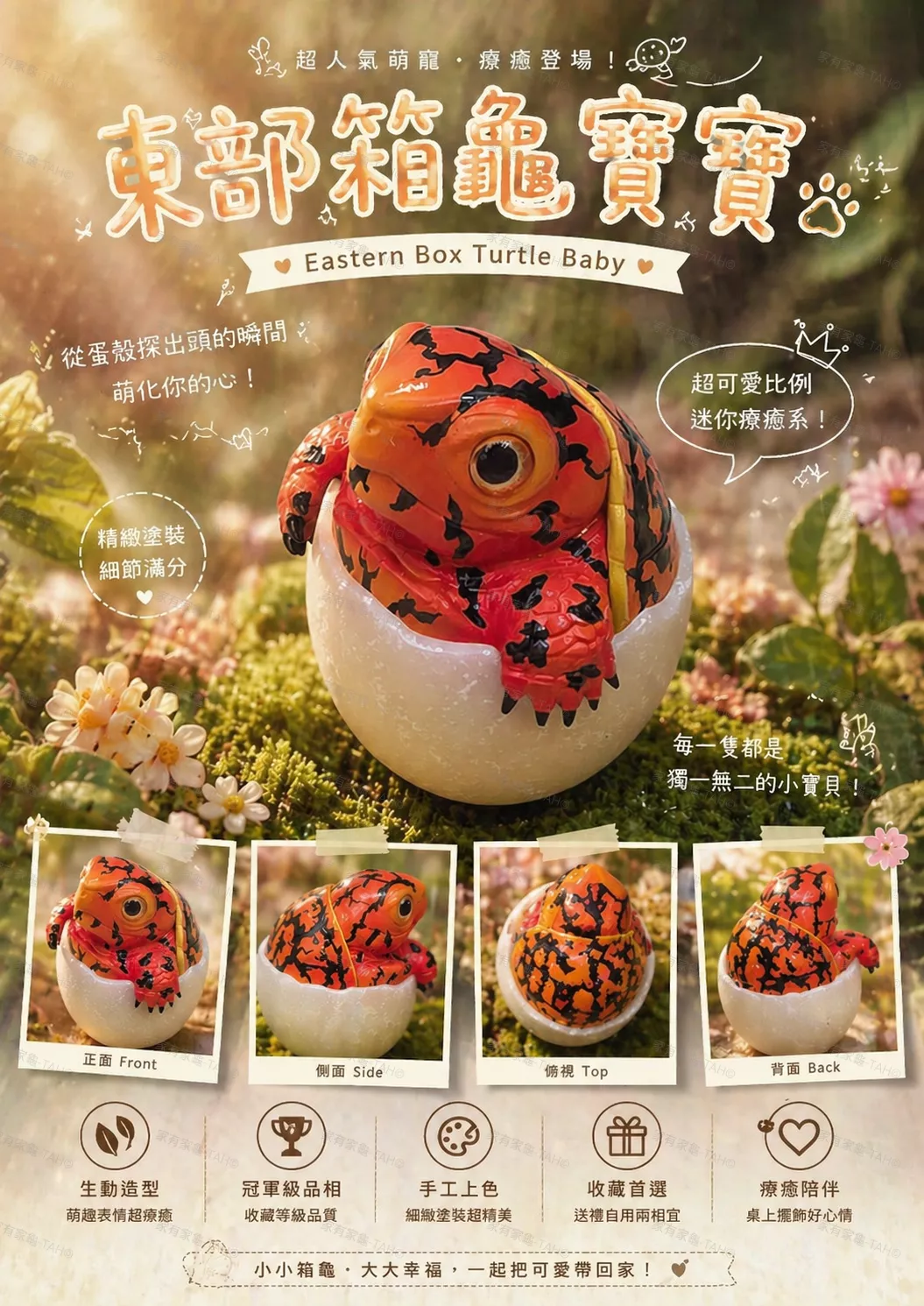 東部箱龜 小搗蛋 不倒翁 爬蟲不倒翁 守宮 鱷龜 變色龍 鸚鵡 豬鼻舌 模型 手辦