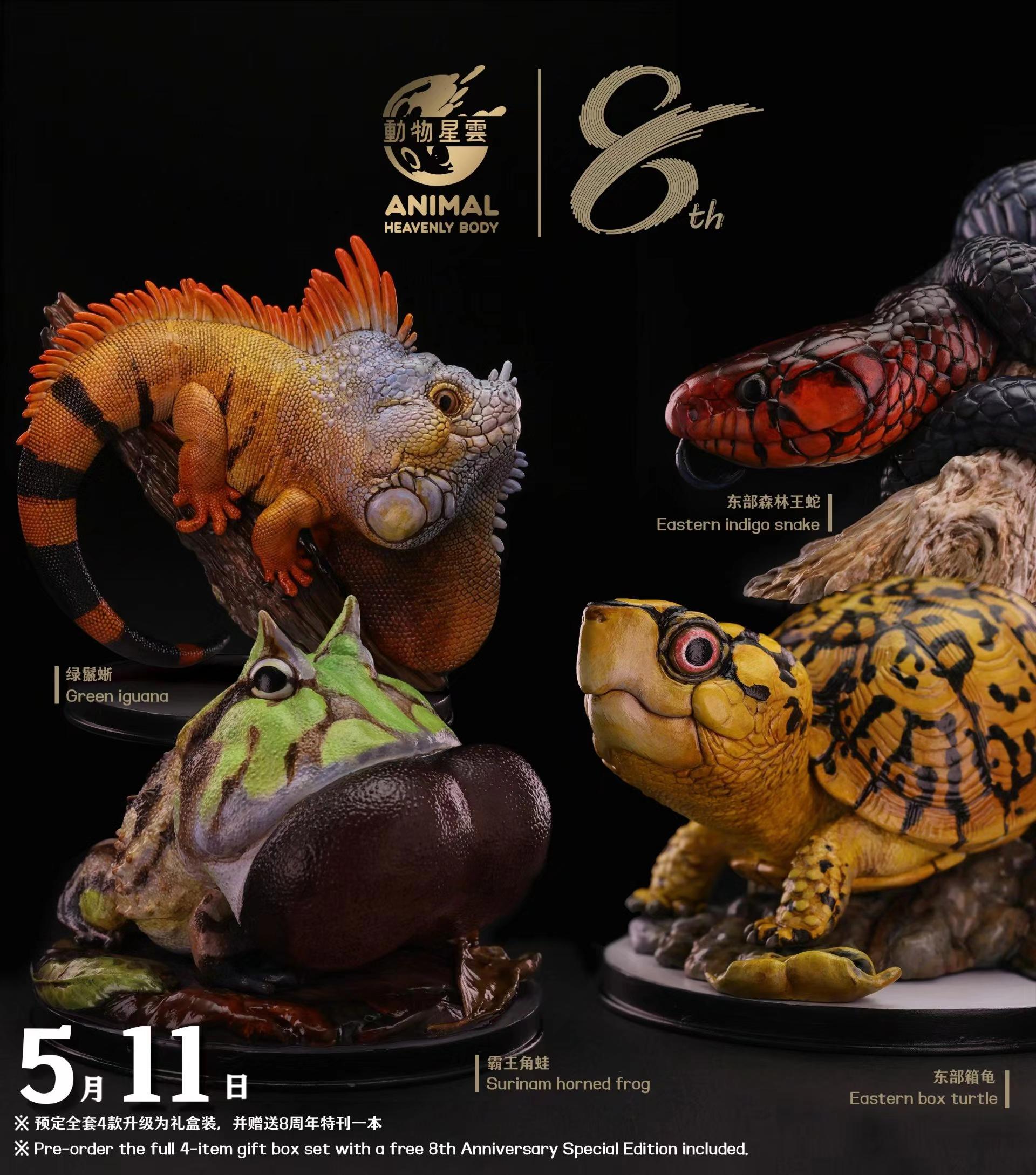動物星雲 動物星球 8周年限定款