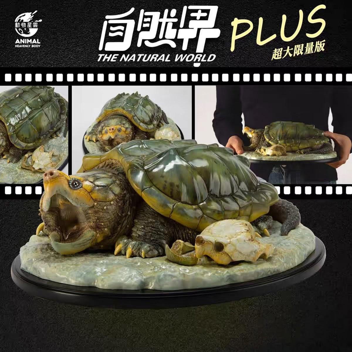 超大限量版 巨大鱷龜PLUS 有限量金色編號幣 動物星雲 動物星球