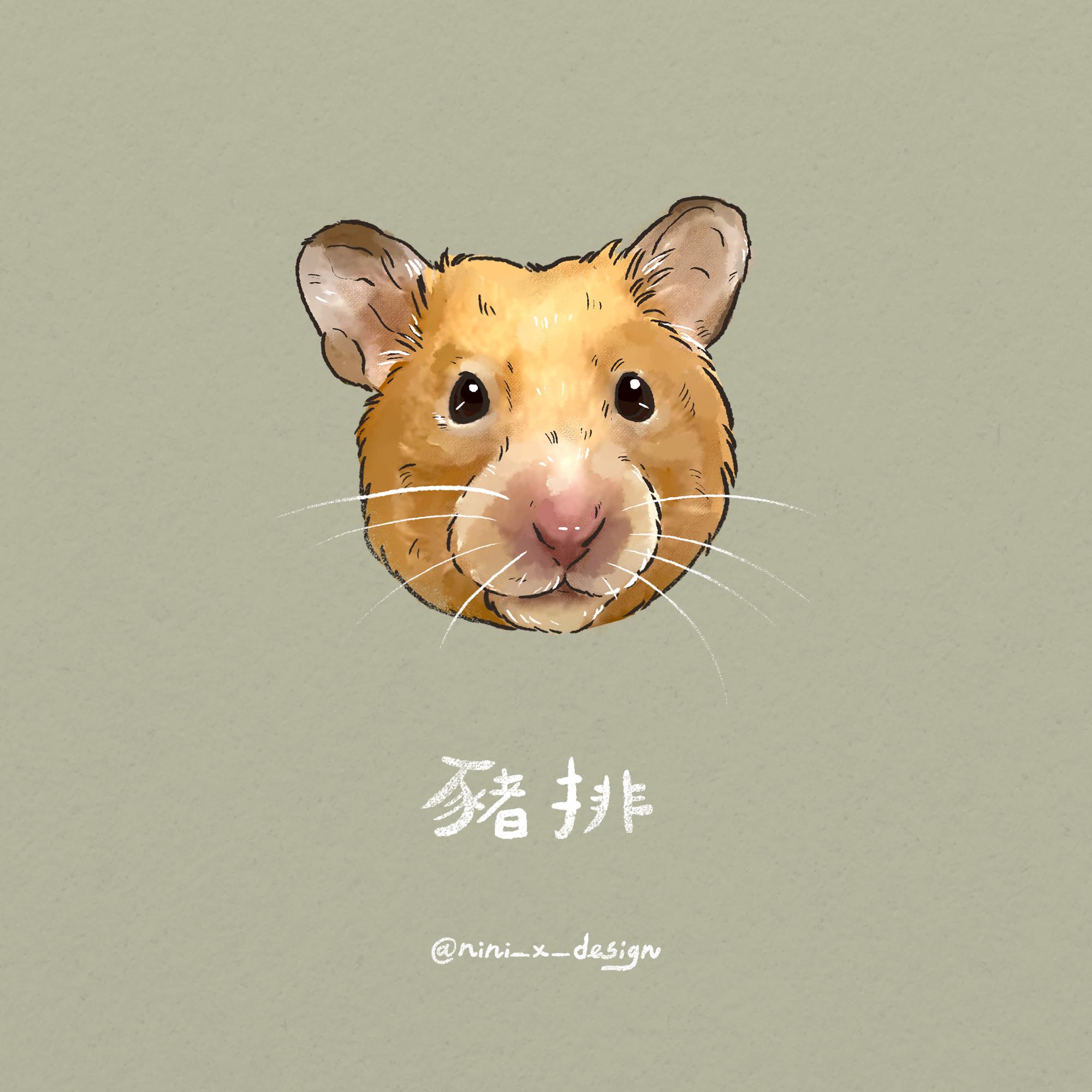 寵物精緻繪(大頭圖)