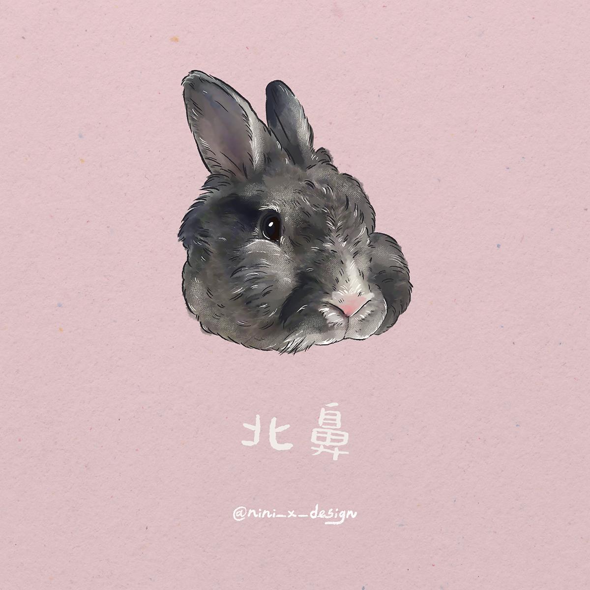 寵物精緻繪(大頭圖)