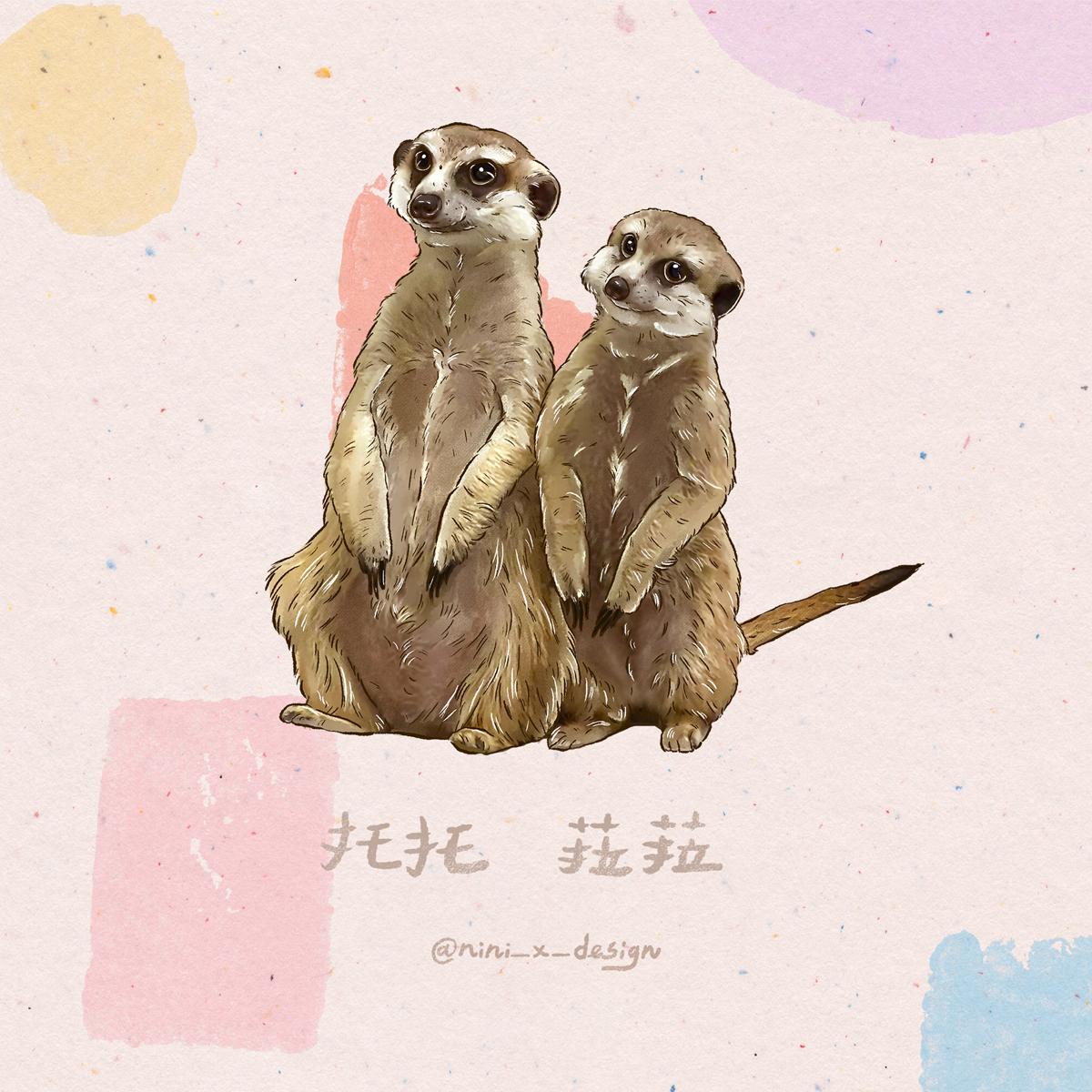 ＊加購 背景升級