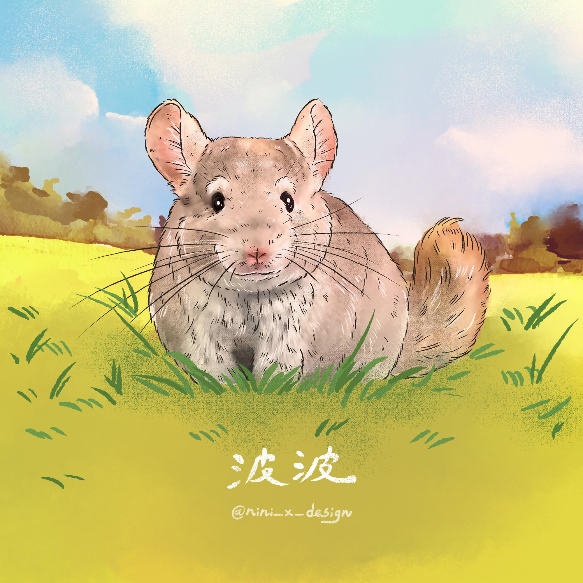 ＊加購 背景升級