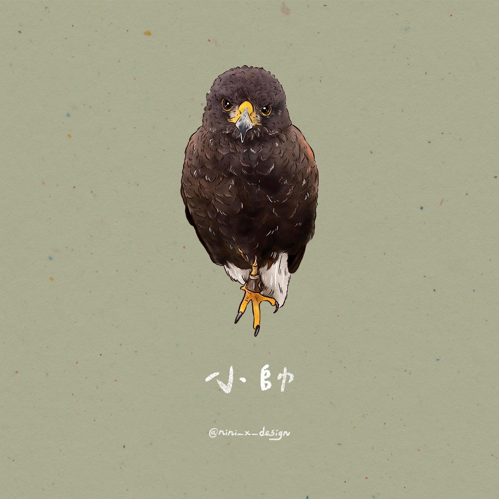 寵物精緻繪圖(全身圖)